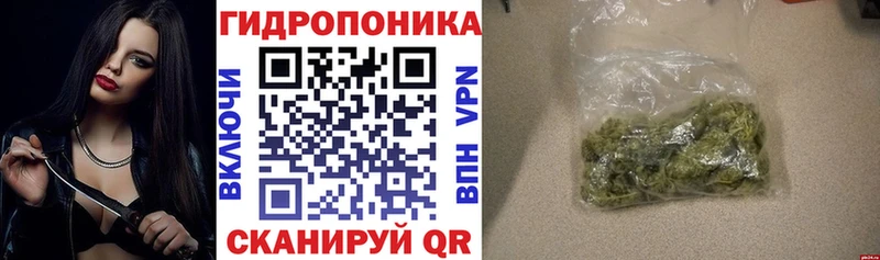 Где можно купить наркотики Жуков A-PVP  Конопля  Мефедрон  ГАШИШ 