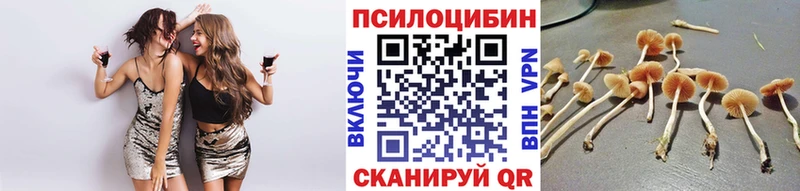 Псилоцибиновые грибы GOLDEN TEACHER  это формула  Жуков 