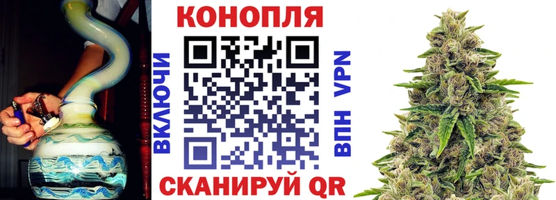 где купить наркоту  Жуков  мориарти какой сайт  Шишки марихуана семена 